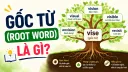 Gốc Từ (Root Word) là gì? Cách Nhận Biết và Áp Dụng Trong TOEIC